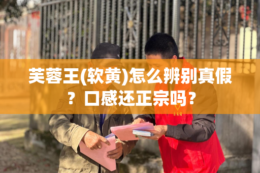 芙蓉王(软黄)怎么辨别真假？口感还正宗吗？